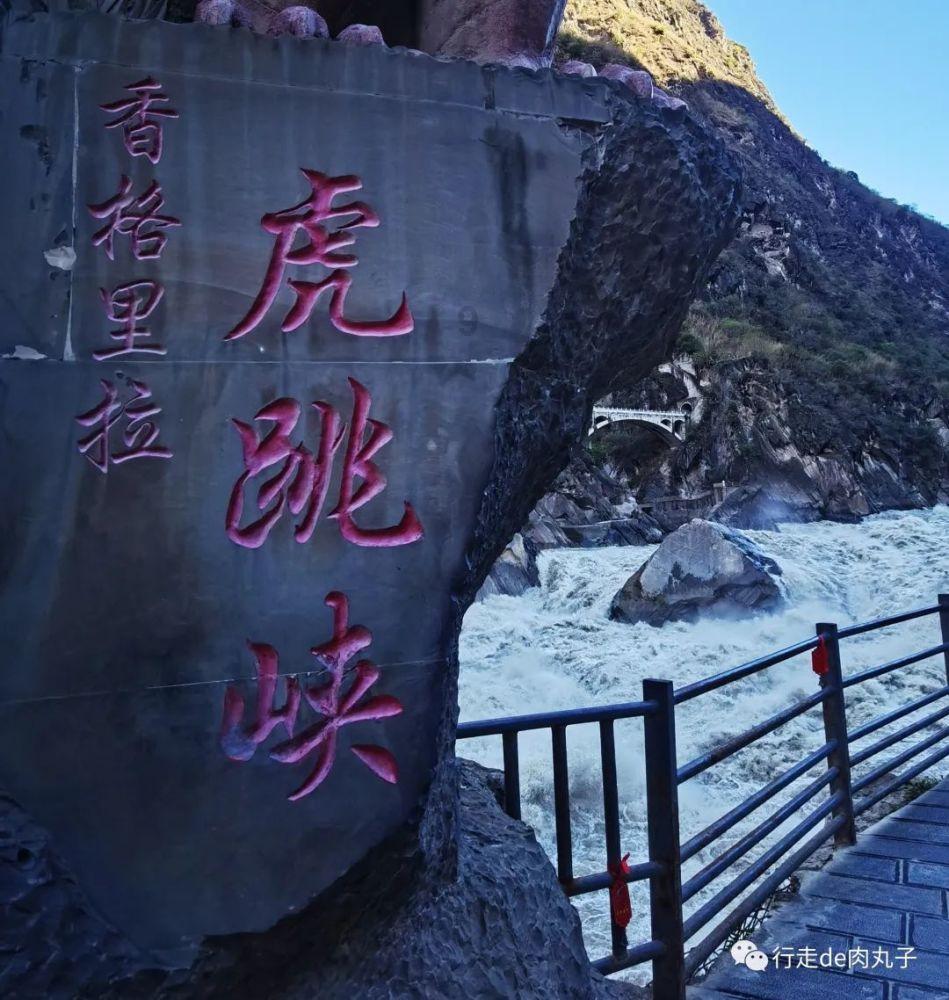 救援深海动物